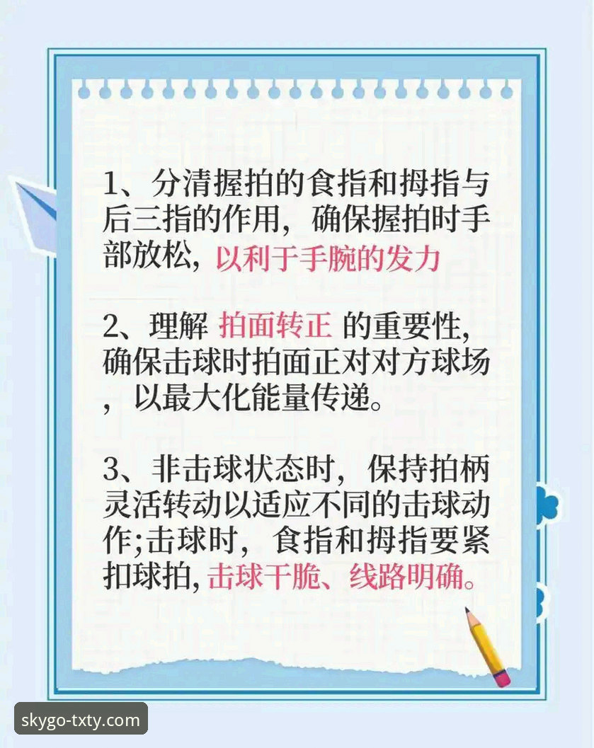 天行体育观赛体验实用指南：新手必备的完整操作技巧